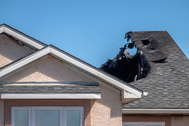 Licensed Fire Damage Removal service in New Market, VA - Fire Damage Biloxi